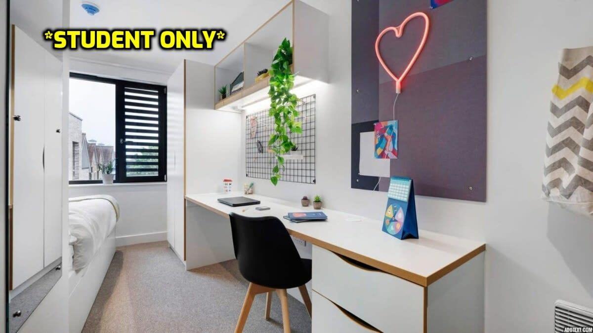 Student Only Zeni Ensuite Rooms, Colchester Zewnętrze zdjęcie